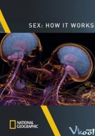 Sex Là Gì? (National Geographic – Sex How It Works 2013)