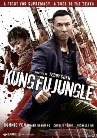 Kế Hoạch Bí Ẩn (Kung Fu Jungle 2014)