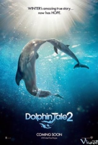 Câu Chuyện Cá Heo 2 (Dolphin Tale 2 2014)