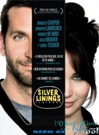 Câu Chuyện Nhiều May Mắn (Silver Linings Playbook 2012)