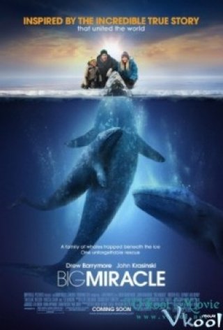Giải Cứu Cá Heo (Big Miracle 2012)