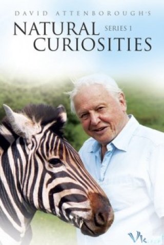 Những Lạ Kỳ Của Tự Nhiên (David Attenborough's Natural Curiosities)