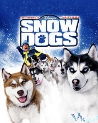 Chó Trắng - Bầy Chó Tuyết (Snow Dogs)
