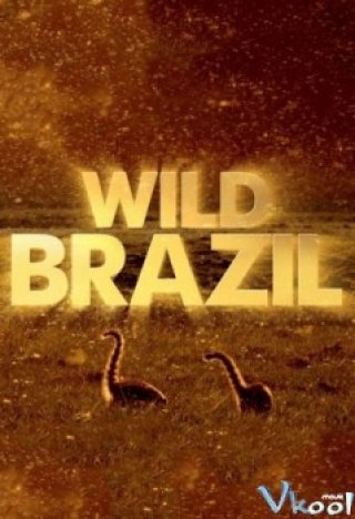 Động Vật Hoang Dã Brazil (Bbc Wild Brazil)