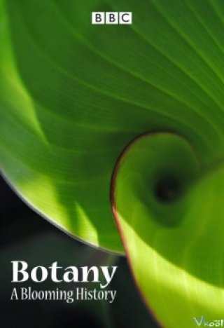 Thế Giới Thực Vật (Bbc - Botany: A Blooming History)