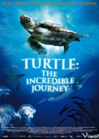 Hành Trình Vĩ Đại Của Loài Rùa (Turtle: The Incredible Journey 2009)