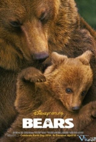 Khám Phá Cuộc Sống Nhà Gấu (Bears 2014)