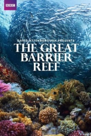 Khám Phá Rạn San Hô Vĩ Đại Với David Attenborough (Bbc: Great Barrier Reef With David Attenborough)