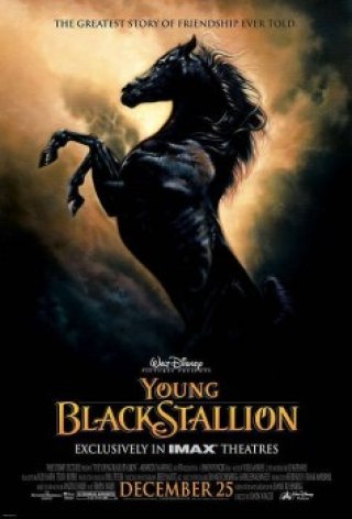Chú Ngựa Ô Choai (The Young Black Stallion)