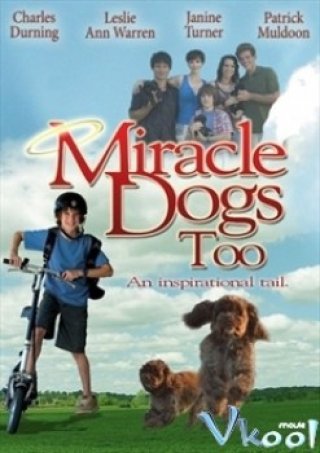 Miracle Dogs (Miracle Dogs)