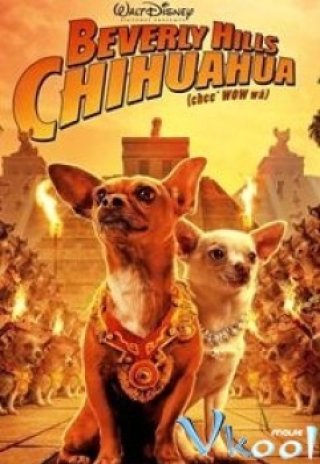 Nữ Minh Tinh Và Chàng Lãng Tử (Beverly Hills Chihuahua 3: Viva La Fiesta! 2008)