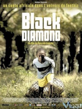 Kim Cương Đen (Black Diamond 2010)