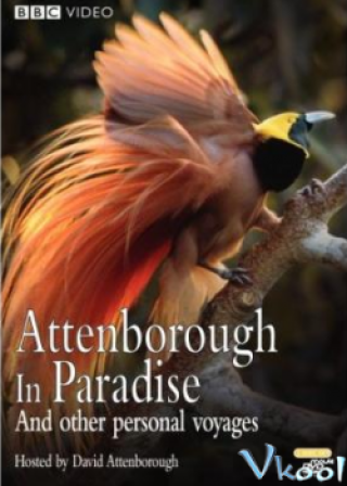 Những Loài Chim Thiên Đường (Bbc Natural World - Birds Of Paradise 2010)