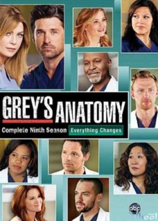 Ca Phẫu Thuật Của Grey 9 (Grey's Anatomy Season 9)