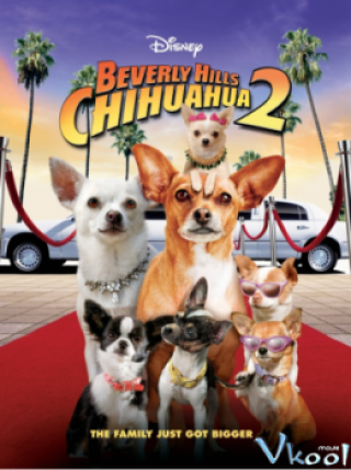 Beverly Hills Chi Hua Hua 2 (Beverly Hills Chihuahua 2)