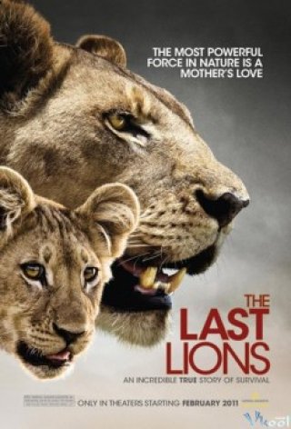 Bầy Sư Tử Cuối Cùng (The Last Lions 2011)