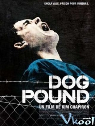 Dog Pound (Dog Pound)