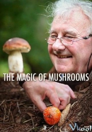 Sự Kỳ Diệu Của Nấm (Bbc The Magic Of Mushrooms 2014)