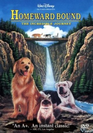 Đường Về Nhà: Cuộc Hành Trình Mạo Hiểm (Homeward Bound: The Incredible Journey 1993)