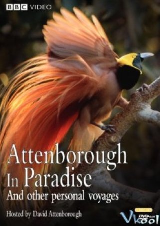 Loài Chim Thiên Đường (Attenborough's Paradise Birds)