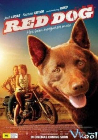 Chú Chó Đỏ (Red Dog 2011)
