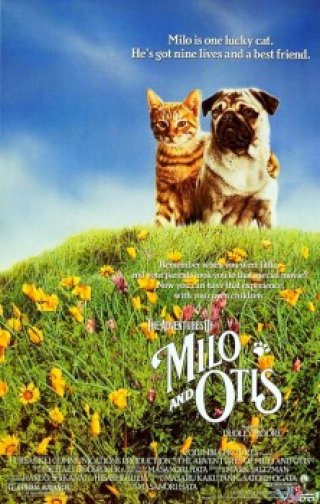 Cuộc Phiêu Lưu Của Chó Và Mèo (The Adventures Of Milo And Otis 1986)