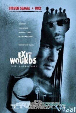 Vết Thương (Exit Wounds 2001)