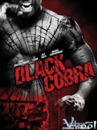 Phi Vụ Hắc Xà (Black Cobra)