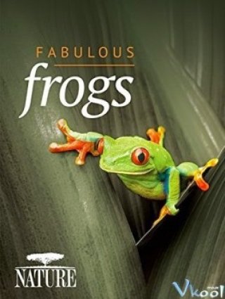 Thế Giới Loài Ếch (Bbc Natural World - Attenborough's Fabulous Frogs 2014)