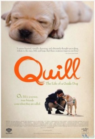 Chú Chó Quill (Quill)
