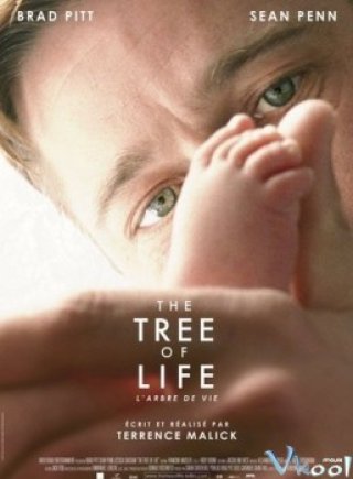 Bố Mẹ Là Tất Cả (The Tree Of Life 2011)