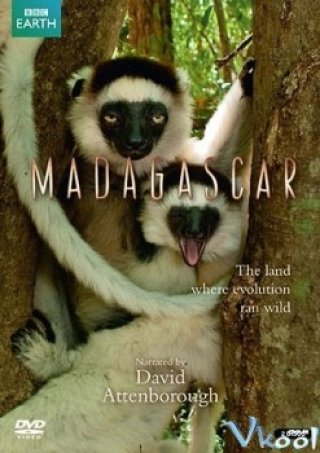 Quần Đảo Madagascar (Madagascar)