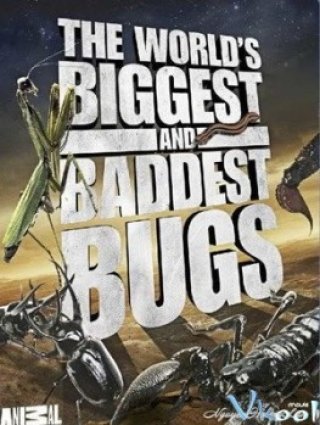 Worlds Biggest And Baddest Bugs (World's Biggest And Baddest Bugs 2004)