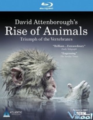 Sự Tiến Hóa Của Động Vật (Rise Of Animals: Triumph Of The Vertebrates)