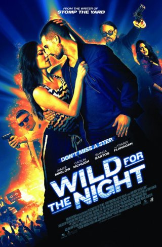 48 Giờ Sinh Tử (48 Hours To Live - Wild For The Night 2017)