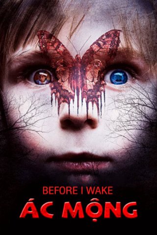 Ác Mộng (Before I Wake 2017)