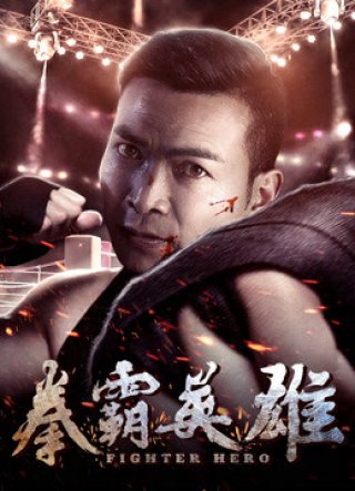 Anh hùng chiến đấu (Fighter Hero 2018)