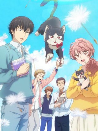 Bạn cùng phòng là mèo (My roommate is sometimes on my knees, sometimes on my head 2019)