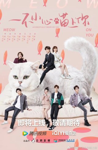 Bất Cẩn Meow Phải Anh (Accidentally Meow On You 2022)