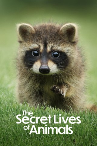 Bí Ẩn Về Thế Giới Động Vật (The Secret Lives of Animals 2024)