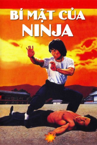 Bí Mật Của Ninja (Ninja Knight 2: Roaring Tiger 1982)