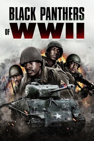 Black Panthers Of Wwii (Black Panthers Of Wwii 2025)