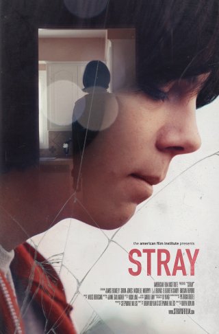 Bỏ Rơi (Stray 2017)