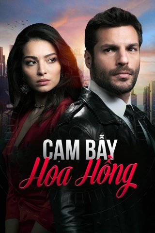 Cạm Bẫy Hoa Hồng (New Life 2020)