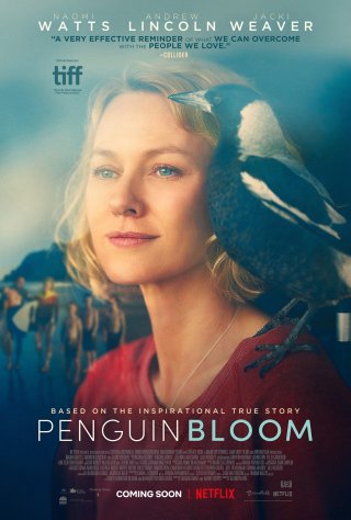 Cánh Cụt nhà Bloom (Penguin Bloom 2021)