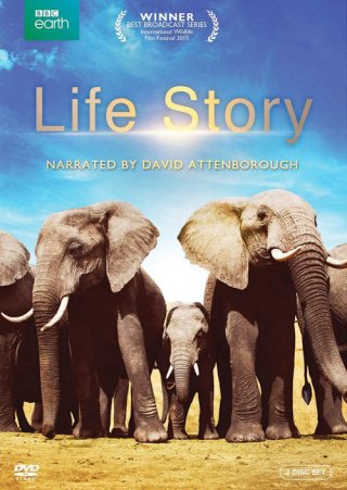 Câu Chuyện Cuộc Sống (Life Story 2014)