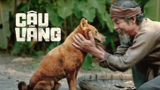 Cậu Vàng (The Old Man's Dog 2021)