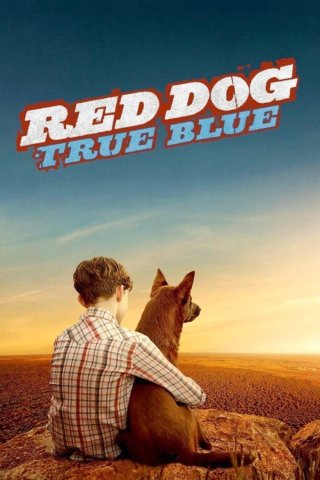 Chú Chó Trung Thành 2 (Red Dog 2: True Blue 2016)