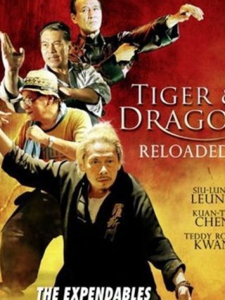 Đả Lôi Đài (Tiger and Dragon Reloaded 2010)