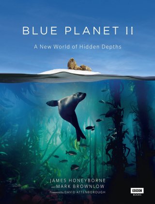 Đại Dương Sâu Thẳm 2 (The Blue Planet 2 2015)